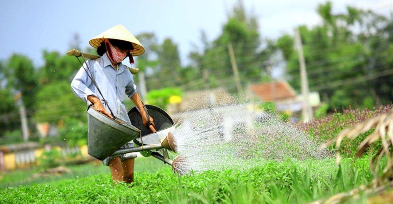 Du Lịch Gốm Xưa Khách sạn 3*