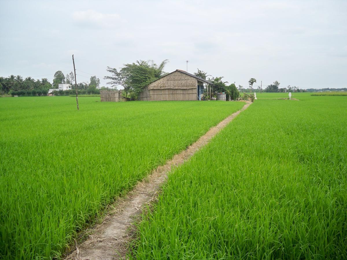 Khách sạn Du Lịch Gốm Xưa